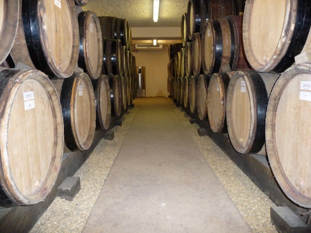 Climatisation cave viticole