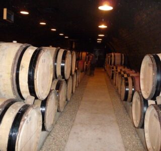 ADPE clim cave Chambolle Musigny